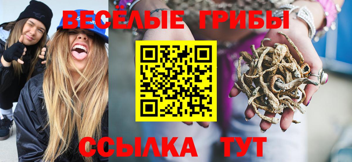 Галлюциногенные грибы Cubensis  Вход с VPN  Аша 